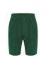 Drawstring Shorts