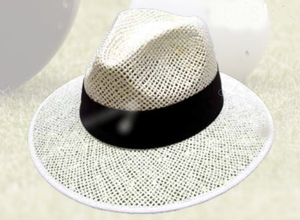 Avenel Panama Straw Men's Hat